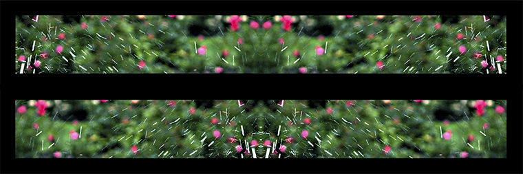 WinterGarden (iv)